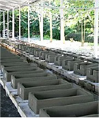 2001
